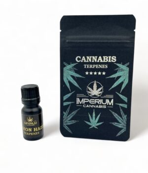 Terpeny konopne Lemon Haze – świeży cytrynowo-konopny aromat premium