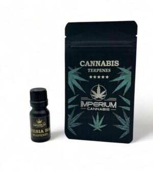 Terpeny konopne Amnesia Haze – świeży cytrusowo-ziemisty aromat premium
